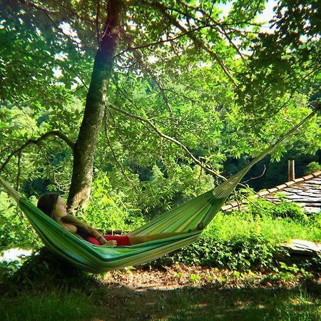 Albergue Eco El Beso - Vegano Tríacastela Exteriör bild