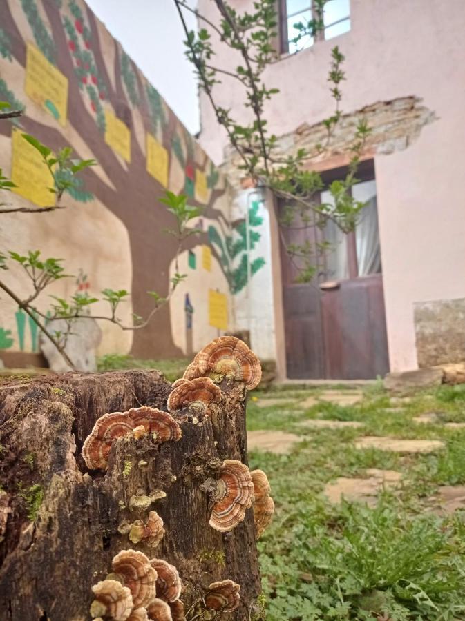 Albergue Eco El Beso - Vegano Tríacastela Exteriör bild